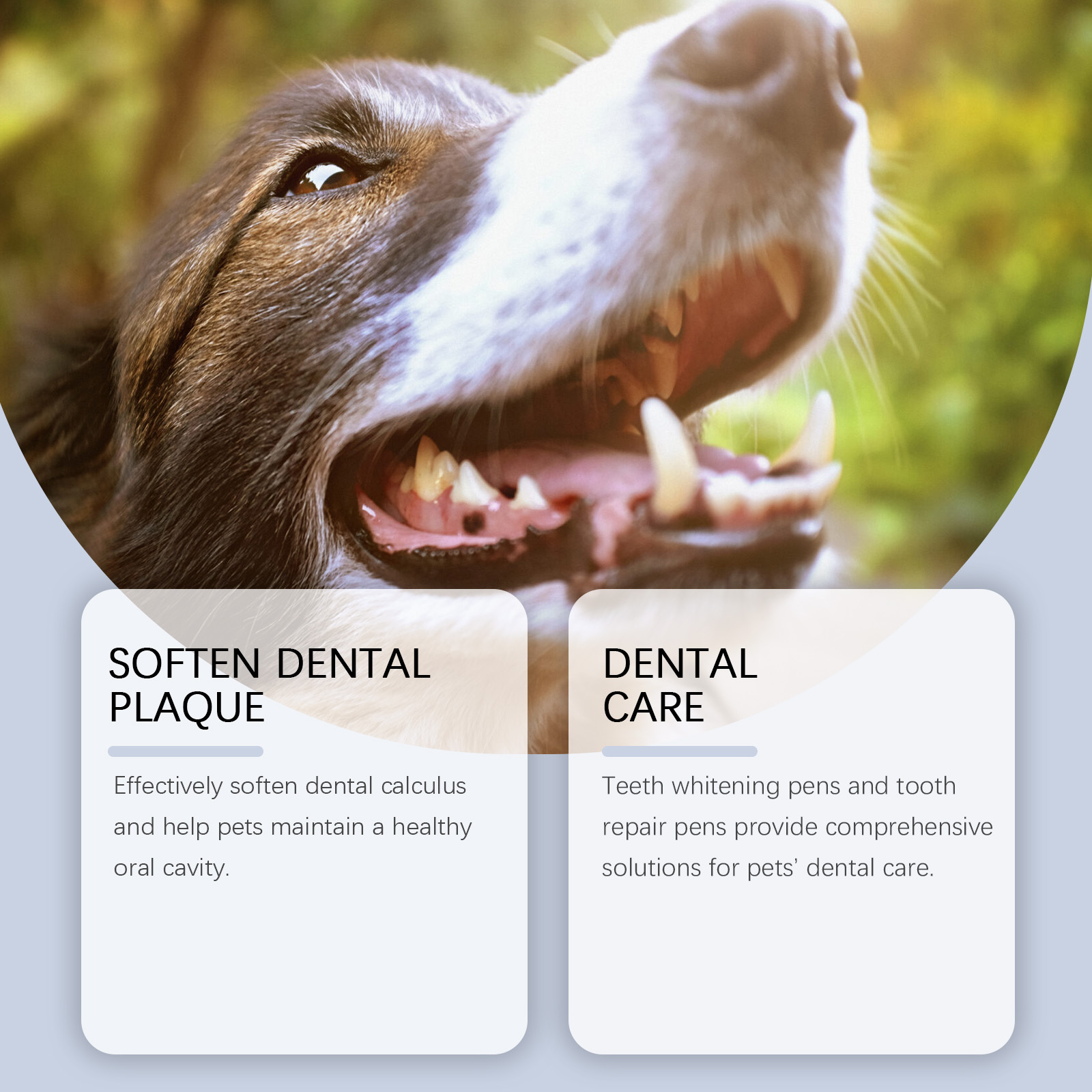 Pet Teeth Whitening Pen Set fo - Teeth Whitening Pens recension och pris